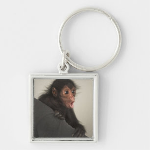 Red-faced Spider Monkey Ateles paniscus) Key Ring