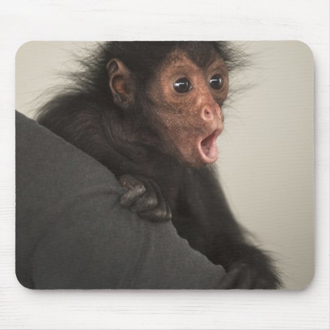 Red-faced Spider Monkey Ateles paniscus) Mouse Mat (Front)