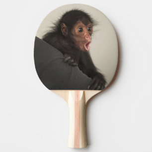 Red-faced Spider Monkey Ateles paniscus) Ping Pong Paddle