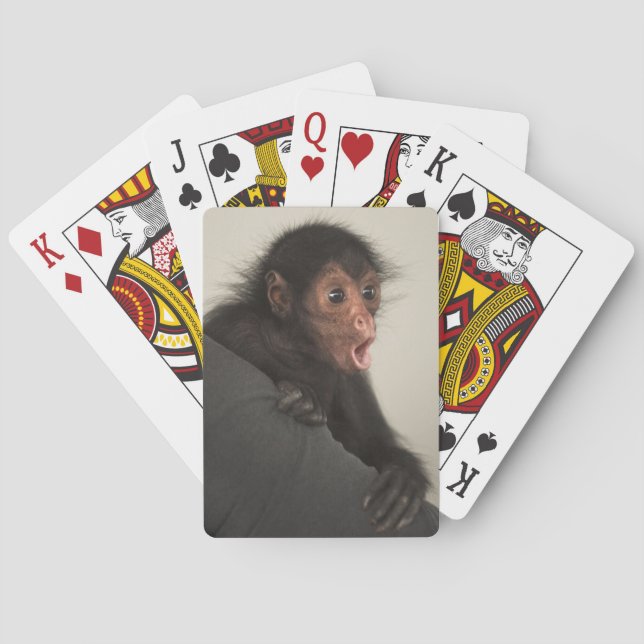 Red-faced Spider Monkey Ateles paniscus) Playing Cards (Back)