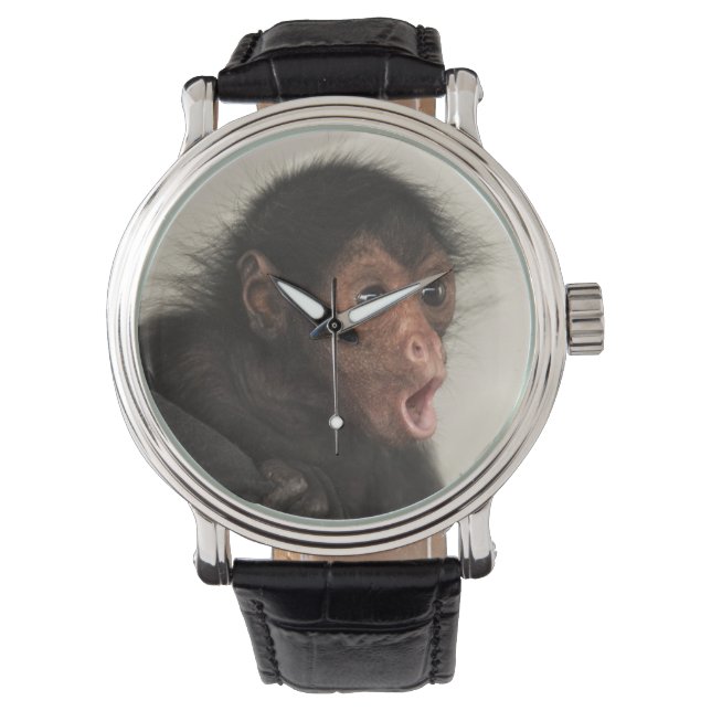 Red-faced Spider Monkey Ateles paniscus) Watch (Front)