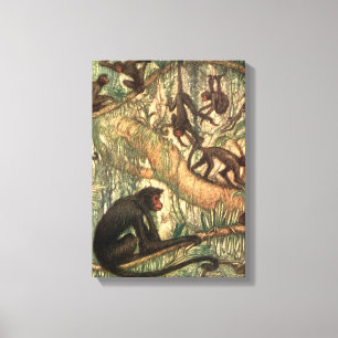 Red Faced Spider Monkeys by Louis Sargent Canvas Print