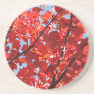 Red Fall Coaster