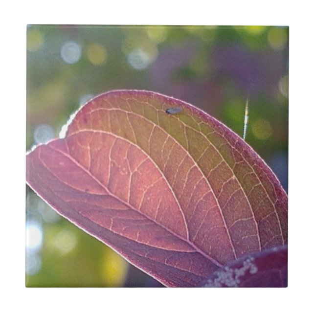 Red Fall Leaf And Bokeh Tile (Front)