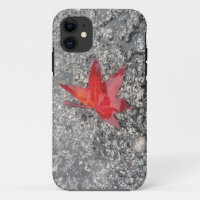 Red fall leaf in rain on grey textured road