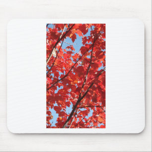 Red Fall Mouse Mat