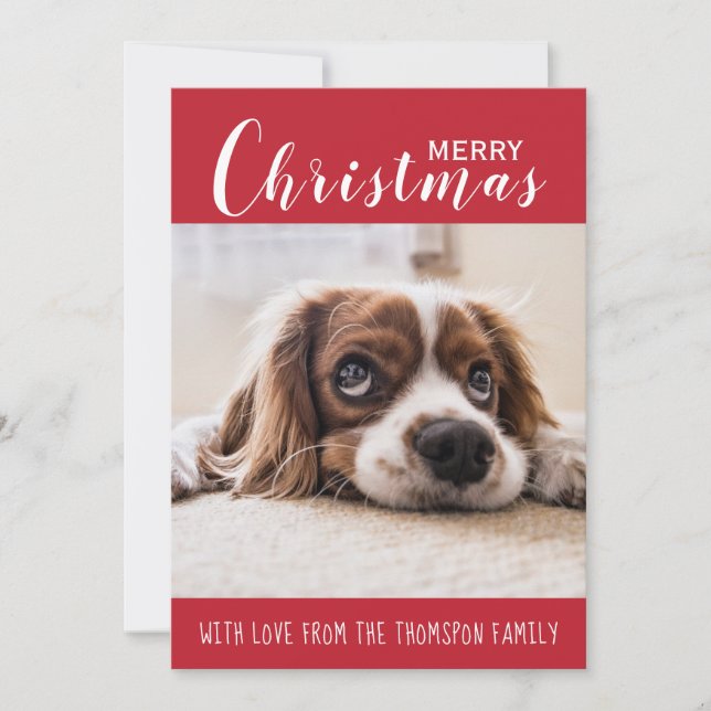 Red| Family Pet Photo| Merry Christmas Holiday Card (Front)