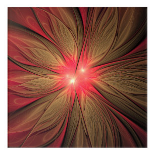 Red fansy fractal flower  acrylic print