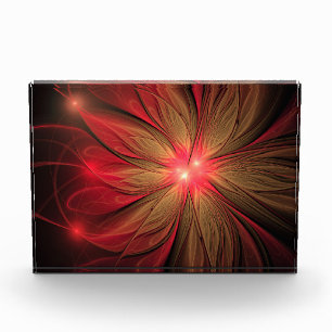 Red fansy fractal flower photo block