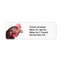 Red Feathered Chicken Egg Layer Hen