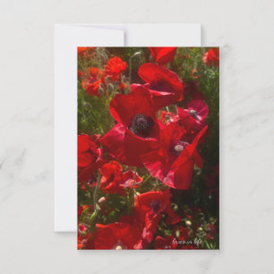 Red Field Poppies Card