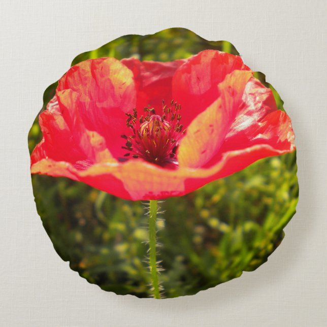 Red field poppy pillow (Back)