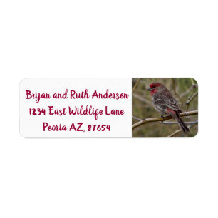 Red finch return address label
