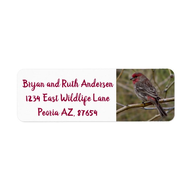 Red finch return address label (Front)