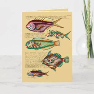 Red Fish and Friends Holiday Card