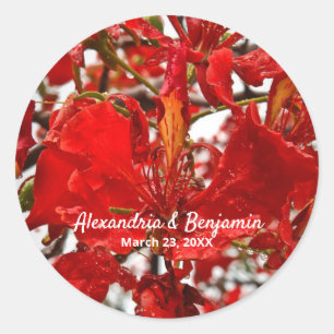 Red Floral Flamboyant Personalise Nature Classic Round Sticker