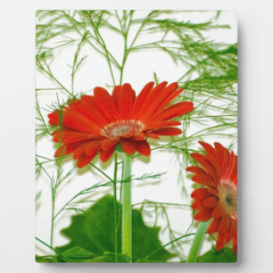 Red Floral Plaque