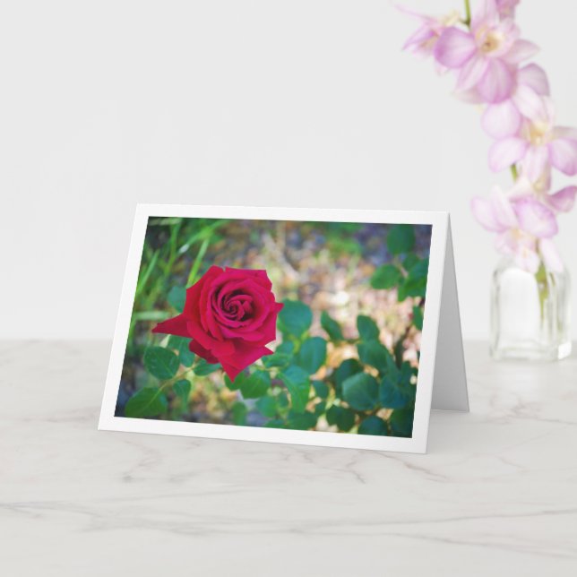 Red Floral Rose Portrait Card (Orchid)
