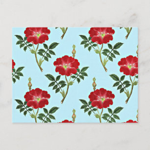 Red floral vintage pattern postcard