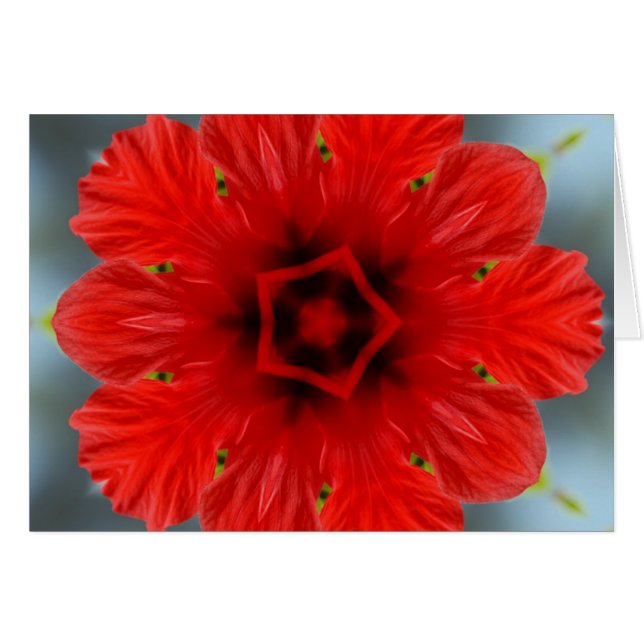 Red Flower (Front Horizontal)