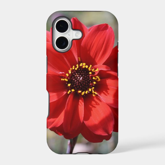 Red Flower (Back)