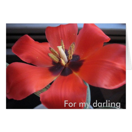Red flower card