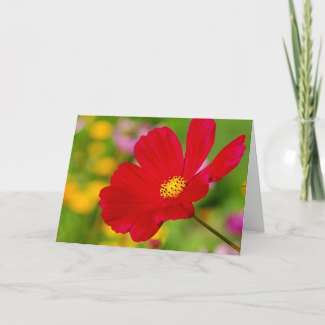Red Flower Card (Front)