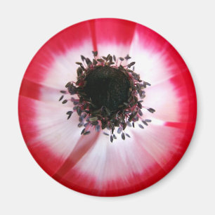 Red Flower Centre Magnet