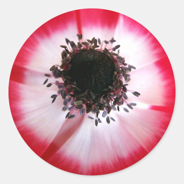 Red Flower Centre Sticker (Front)