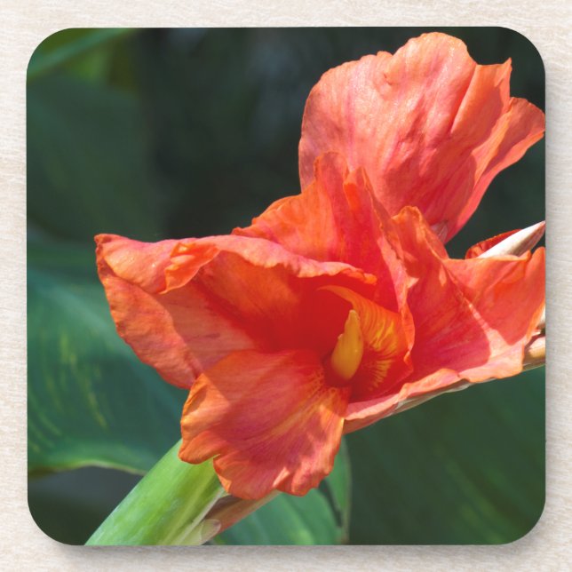 Red flower coaster (Front)