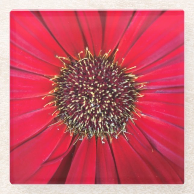 Red Flower Glass Coaster (Front)