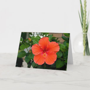Red Flower Greeting Card
