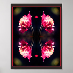 Red Flower In Sunlight Close Up Mirror Abstract Poster