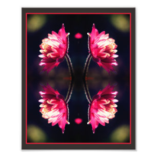 Red Flower In Sunlight Mirror Abstract 8x10 Photo Print