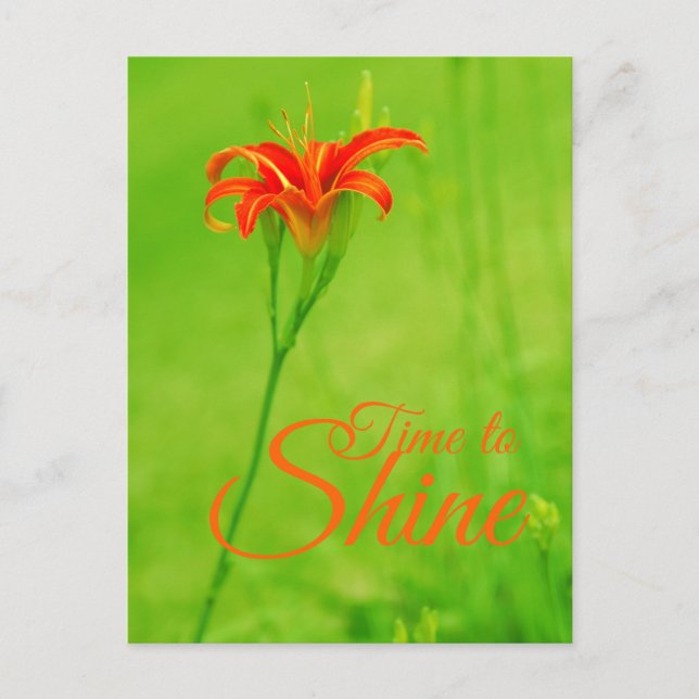 Red Flower  "It's time to shine"   Postcard (Front)