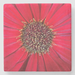 Red Flower Marble Stone Coaster
