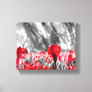 Red Flower Monochrome Canvas Print