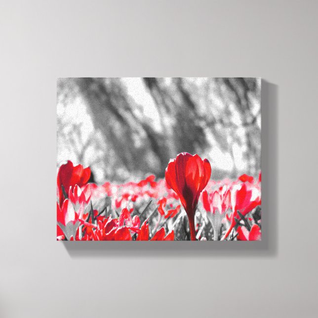 Red Flower Monochrome Canvas Print (Front)