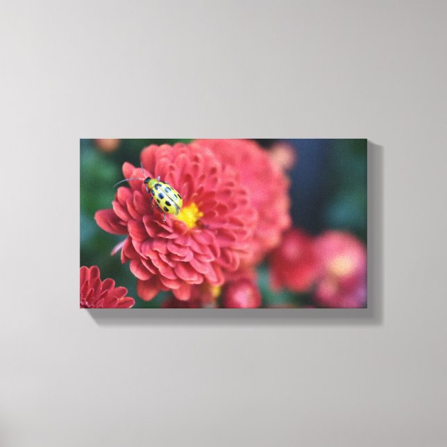 Red Flower Nature Photography Beetle Insect Bug Canvas Print (Front)