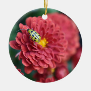 Red Flower Nature Photography Beetle Insect Bug Ceramic Tree Decoration