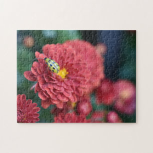 Red Flower Nature Photography Beetle Insect Bug Jigsaw Puzzle
