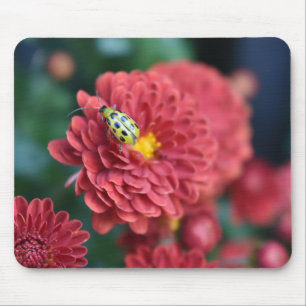Red Flower Nature Photography Beetle Insect Bug Mouse Mat