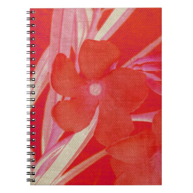 Red Flower Notebook (Front)
