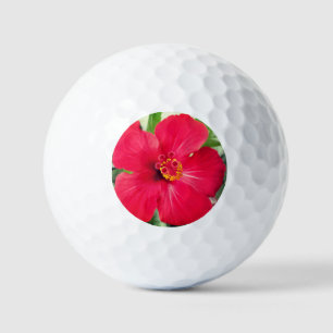 Red Flower of Hibiscus Rosa-sinensis Golf Balls