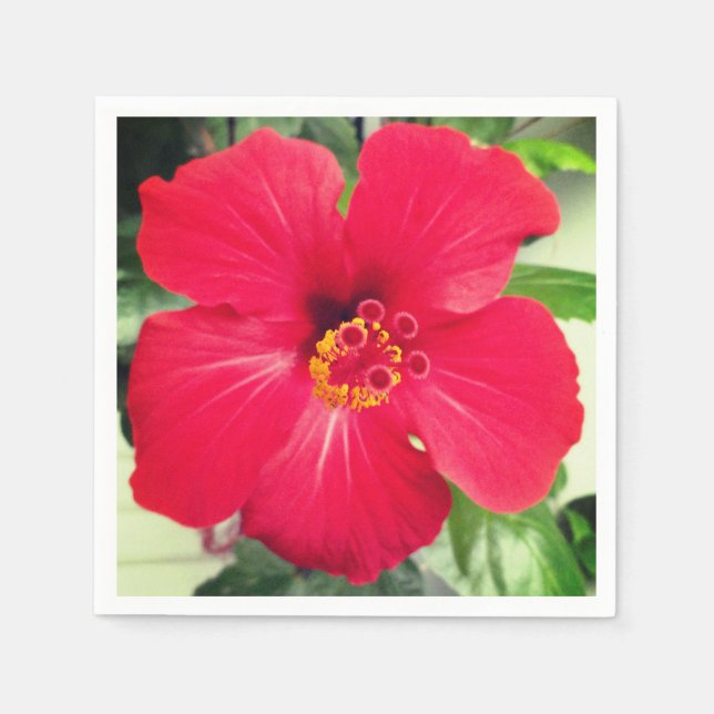 Red Flower of Hibiscus Rosa-sinensis Napkin (Front)