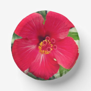 Red Flower of Hibiscus Rosa-sinensis Paper Plate