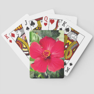 Red Flower of Hibiscus Rosa-sinensis Playing Cards