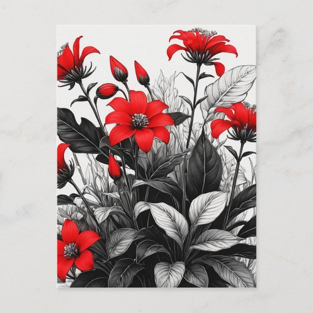 Red Flower On Black White Plant  Postcard (Front)