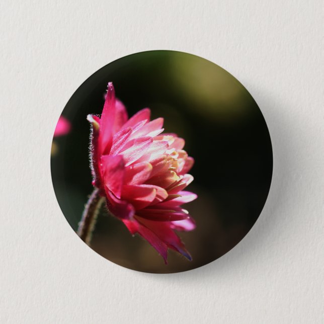 Red Flower Sunlight Floral Button (Front)