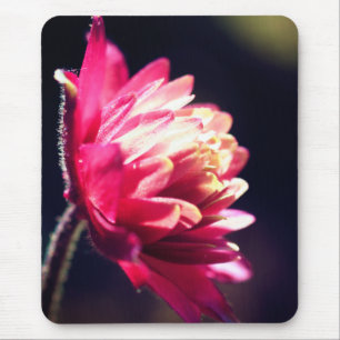 Red Flower Sunlight Floral Mouse Mat